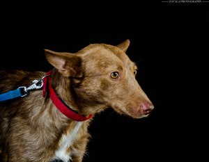 IMG_1232
