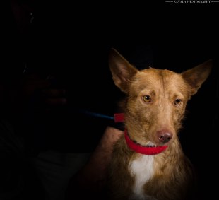 IMG_1233