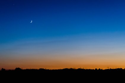 1_DSC7786